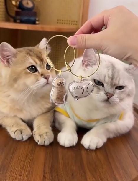 Two cat EternalPaw keychains held in front of two real cats